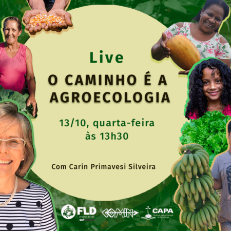 FLD-COMIN-CAPA promovem conversa ao vivo com Carin Primavesi