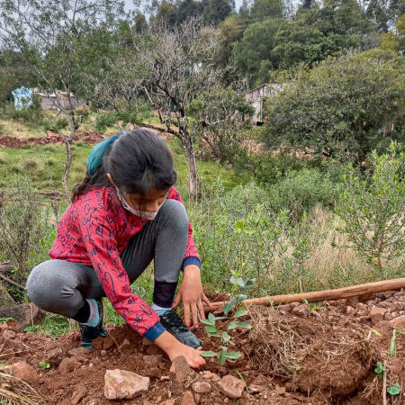 Na região Central do Rio Grande do Sul, comunidades indígenas lutam por segurança alimentar e demarcação de seus territórios