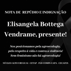 Nota de repúdio e indignação por feminicídio no norte do Rio Grande do Sul